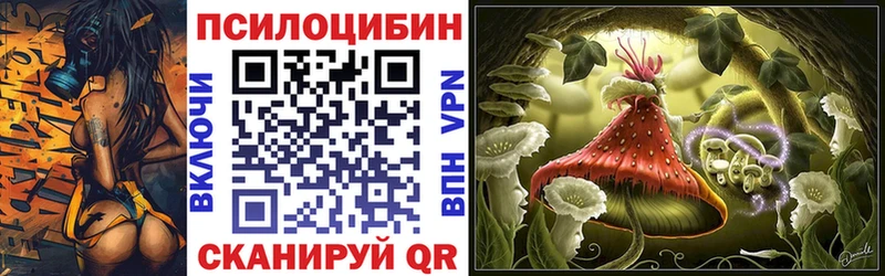 дарнет шоп  Ворсма  Галлюциногенные грибы Psilocybine cubensis 
